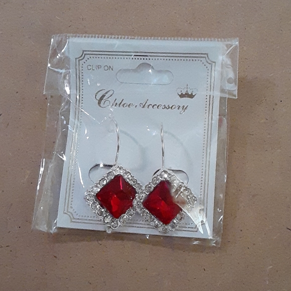 Chloe Accessory - Picture 4 of 6